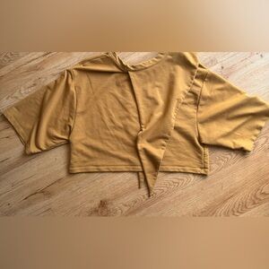 Tan colored Zara Trafaluc shirt sleeve statement top